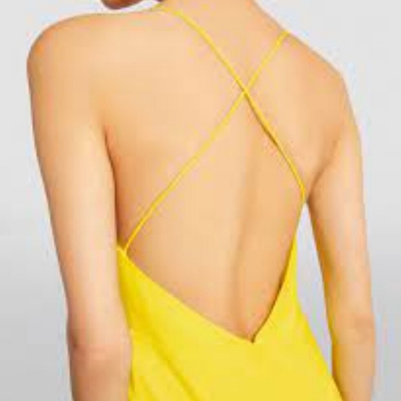 Alice and Olivia Sariya Chain Halter Dress - Picture 6 of 6